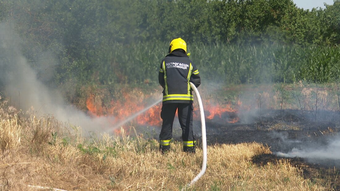 Tašković: Na osam lokacija dežura 50 vatrogasaca, ne postoji opasnost od širenja požara
