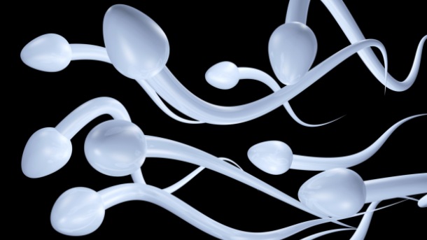 Tata na klik: Aplikacija donora sperme