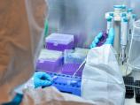 Teorije zavere o laboratorijama za biološko oružje stigle u Niš, sa Medicinskog demantuju optužbe Dveri