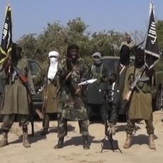 Teroristički napad u Kamerunu: Boko Haram ubio više od 30 ljudi!