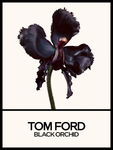 Tilda Swinton u neodoljivoj kampanji za novi Tom Ford parfem Black Orchid Reserve