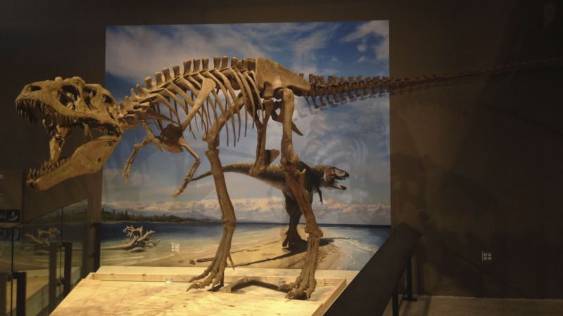Tinosaurus reks ipak nije mogao da isplazi jezik