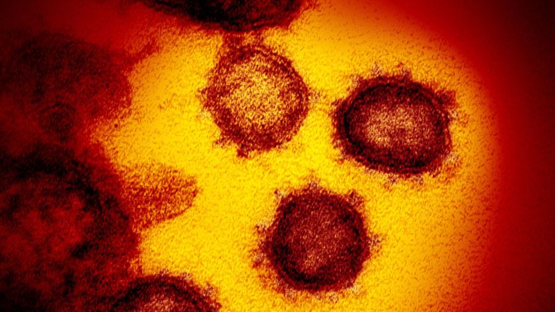 Tiodorović: Uzorak mutiranog soja korona virusa uzet 31. decembra 