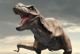 Tiranosaurus reks je imao prirodni klima uređaj u glavi
