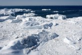 Tramp sumnja u klimatske promene, ali otapanje leda bi moglo da zagreje njegovu dušu