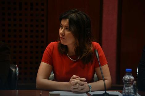 Tripić (DS): Smeniti ministra Šarčevića jer opravdava nasilje