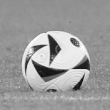 Troje navijača poginulo u padu sa tribine stadiona u Alžiru, najmanje 70 povređeno