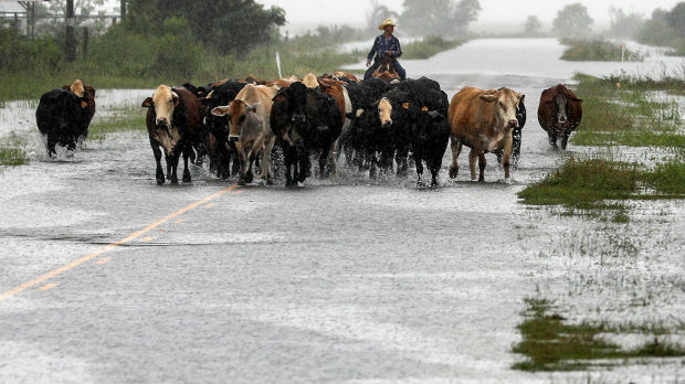 Tropska oluja pogodila Teksas, 1.000 spasenih 