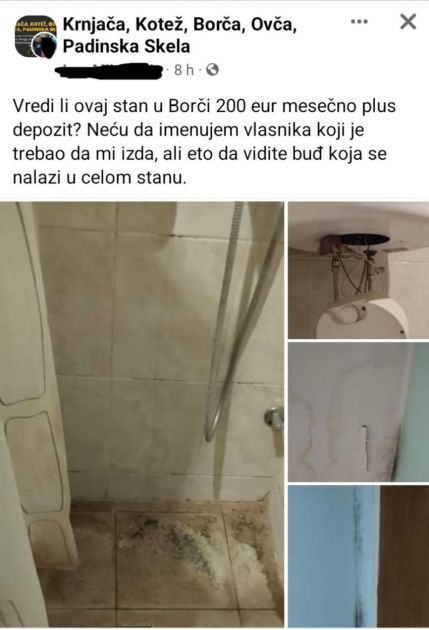 „Tu ni ovce ne možeš da držiš!“: Na oglasima osvanuo buđavi stan u Borči, vlasnik traži 200 €