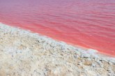 Turisti zaprepašćeni: More preko noći promenilo boju, sada je crveno VIDEO