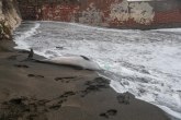 Tužan prizor u Bečićima – leži na sred plaže VIDEO