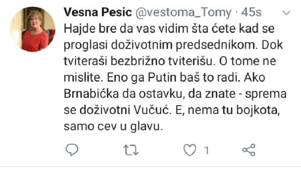 Tužilaštvo proverava sporne navode tvita Vesne Pešić