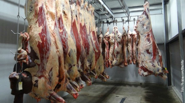 Određen pritvor preprodavcima bajatog mesa iz Brazila