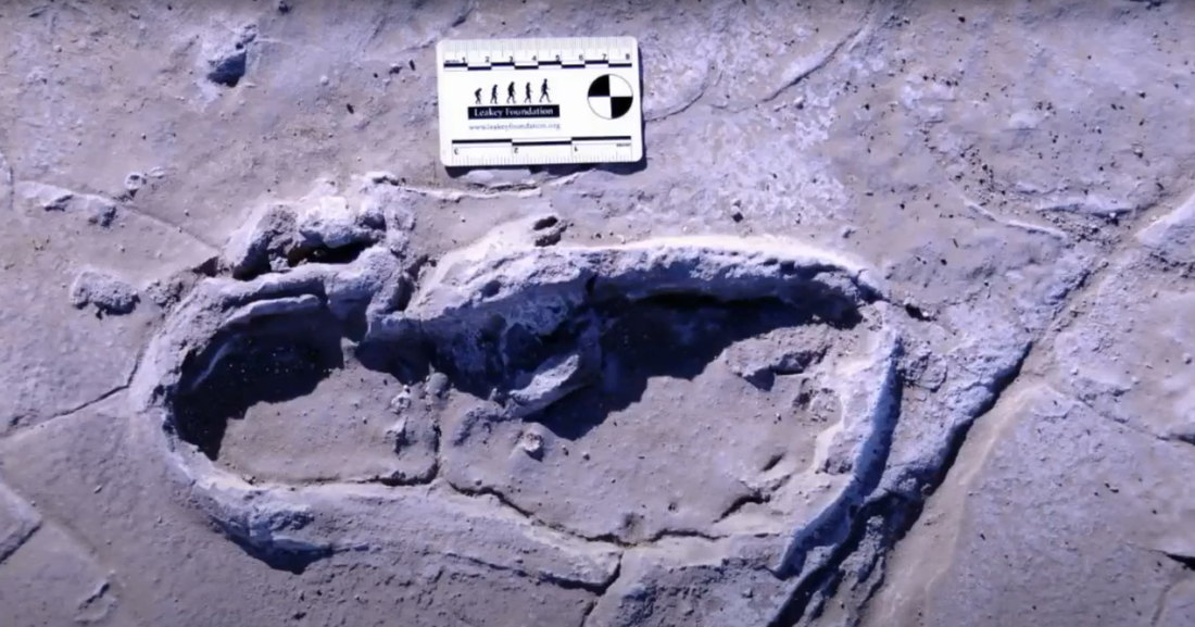 U Africi pronađeni fosilizovani otisci ljudskih stopala stari 10.000 godina