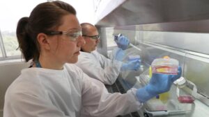 U Australiji i Novom Zelandu tokom pandemije skočilo poverenje u naučnike