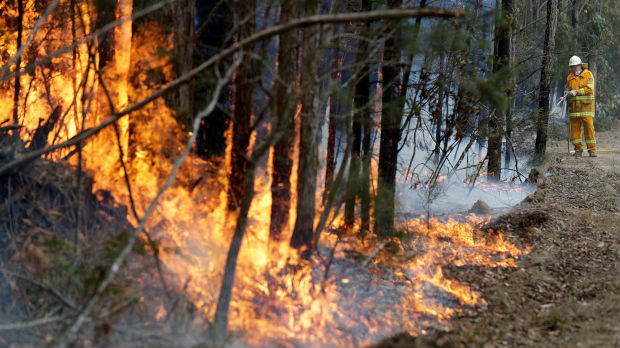 U Australiji izgorelo devet miliona hektara – površina veća od cele teritorije Srbije