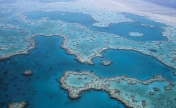 
					U Australiji otkriveno drevno podvodno klizište 
					
									