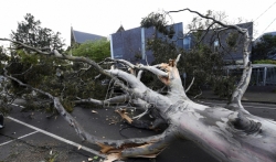 U Australiji zbog jakih vetrova 450.000 domova ostalo bez struje