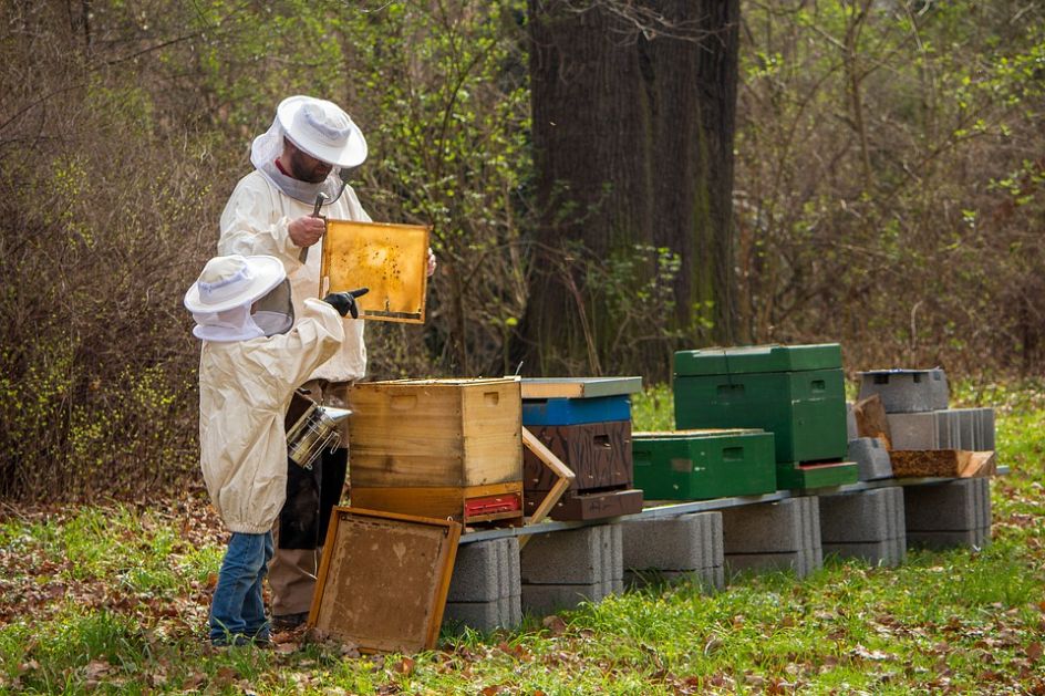 U BIjeljini se udružili mladi pčelari