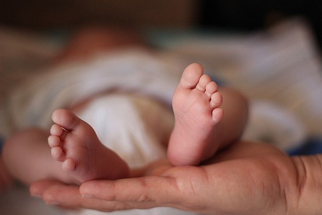 U Betaniji za jedan dan rođeno 26 beba, među njima par blizanaca