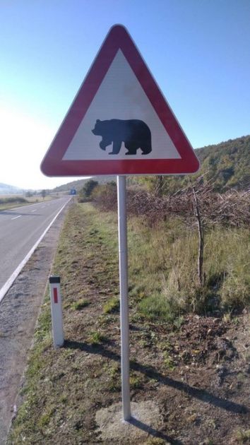 U BiH postavljen prvi znak medved na putu-vozači, oprez