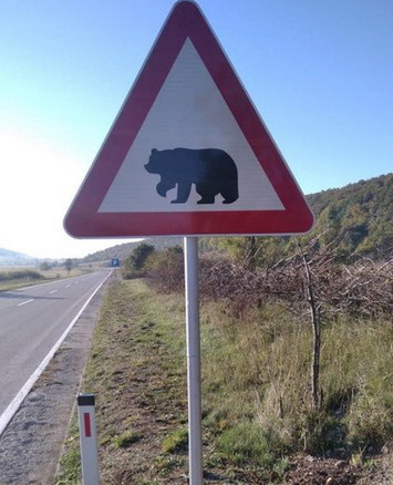 U BiH postavljen znak medved na putu-vozači, oprez