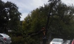 U Borči povređeno dete i dvoje odraslih, u Šapcu povrede zadobile četiri osobe, olujni vetar čupao drveće, nosio krovove i kontejnere! (FOTO/VIDEO)