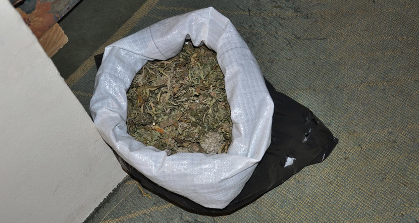 U CARSTVU MARIHUANE: Srpska policija pronašla laboratoriju droge (FOTO)