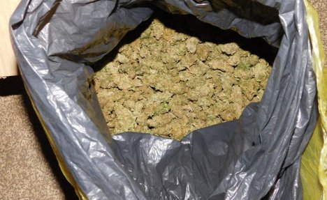  U DVE AKCIJE KOD NS I VRBASA: Zaplenjeno 7,5 kg marihuane