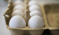 U Danskoj ponovo pronadjena jaja zagadjena insekticidom