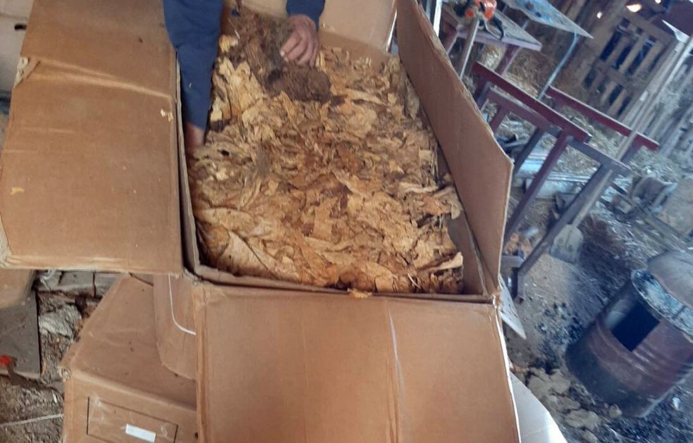 U Irigu policija zaplenila dve tone i 600 kilograma duvana