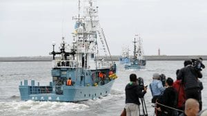 U Japanu posle 30 godina zabrane ponovo počeo komercijalni lov na kitove