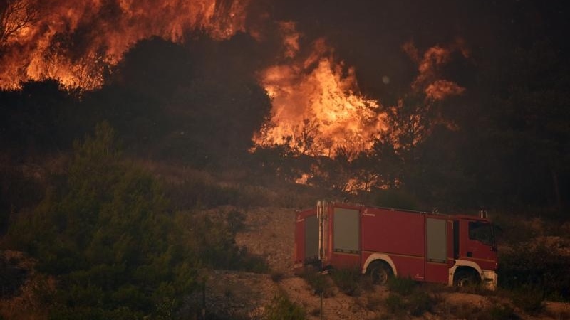 U Koštunićima vatra zahvatila 20 hektara, požar lokalizovan