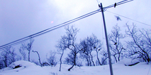 U Ljuboviji metar snega, 500 stubova porušeno