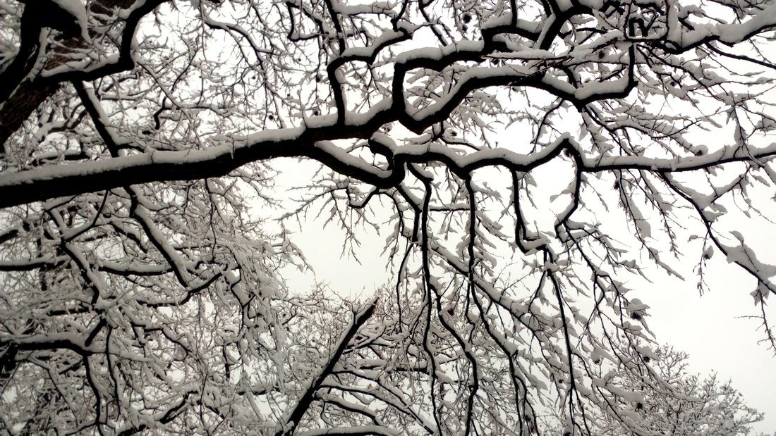 U Novom Pazaru od jutros pada sneg, visina pokrivača 15 centimetara