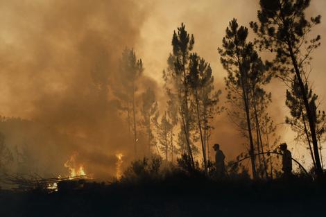U Portugaliji proces proglašenja JAVNE KATASTROFE zbog šumskih požara