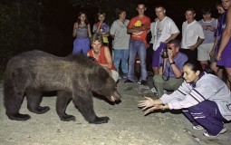 
					U Rumuniji zatvoren Drakulin zamak zbog medveda 
					
									