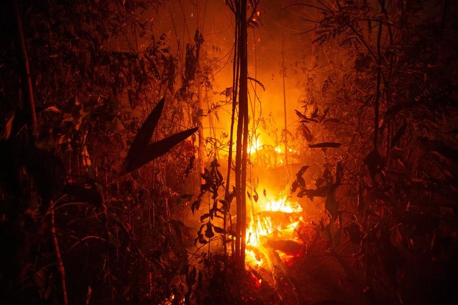 U Rusiji gori 116 šumskih požara, ugašeno 60