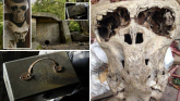 U Rusiji pronađen nacistički kovčeg s lobanjama nepoznatih bića