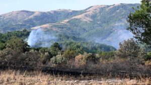 U Severnoj Makedoniji uvedeno vanredno stanje zbog požara