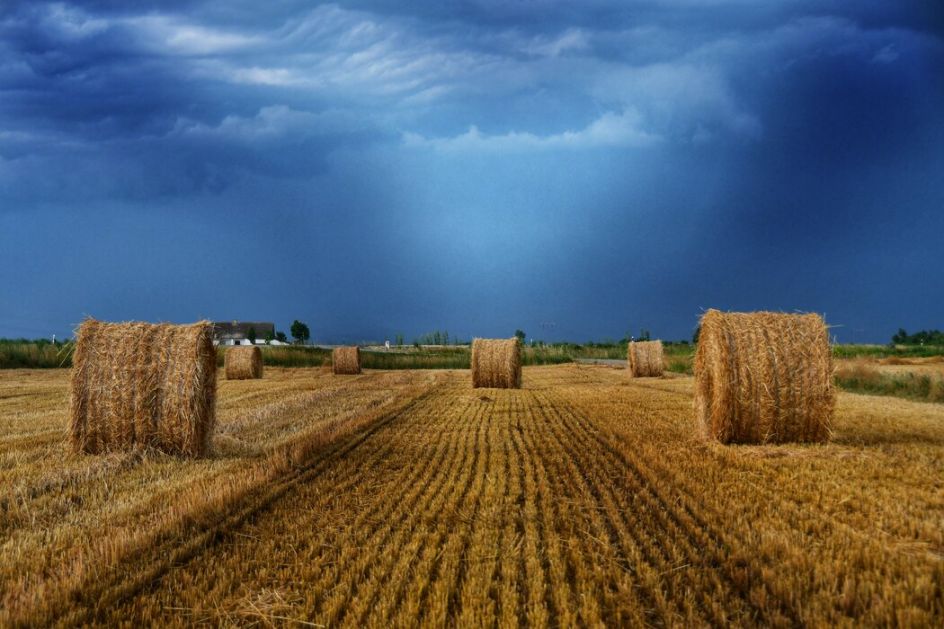 U Srbiji danas prepodne oblačno s kišom, do 26 stepeni