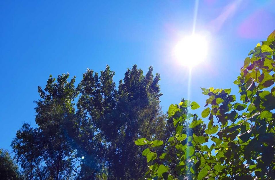 U Srbiji pretežno sunčano, temperature do 38 stepeni