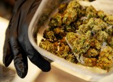 U Temerinu pronađeno 1,5 kilograma marihuane, uhapšene dve osobe
