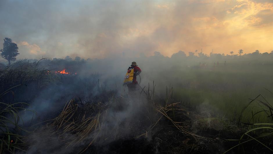 U Tunisu u požarima izgorelo 2.000 hektara šume
