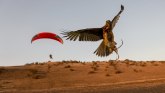 U fotografijama: Čileanski paraglajder i njegov soko