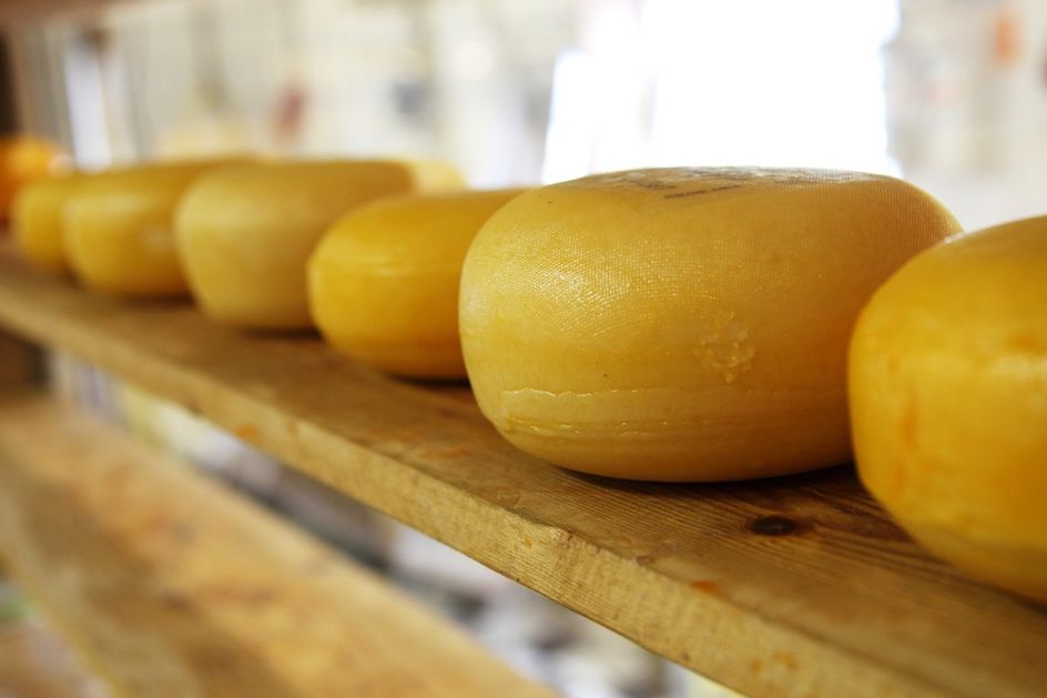 U januaru veća proizvodnja kravljeg sira, pavlake, maslaca
