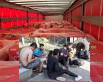 U kamionu punom čipsa iz Grčke skriveno sedmorica migranata