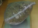 U kući Nišlije policija pronašla više od pola kilograma marihuane