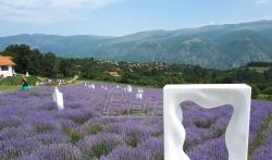 U polju lavande kod Bele Palanke izložba skulptura vajara iz Beograda i Štipa