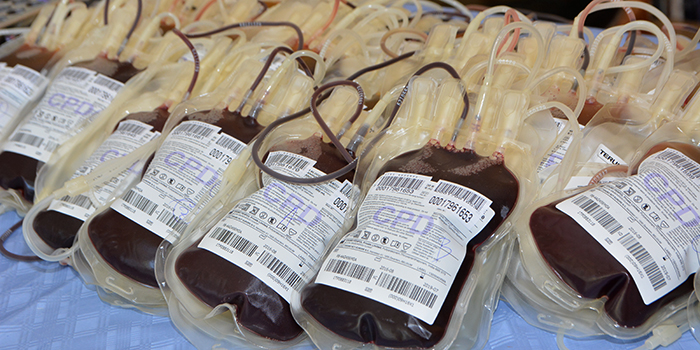 U ponedeljak u Crvenom krstu u Boru redovna akcija dobrovoljnog davanja krvi